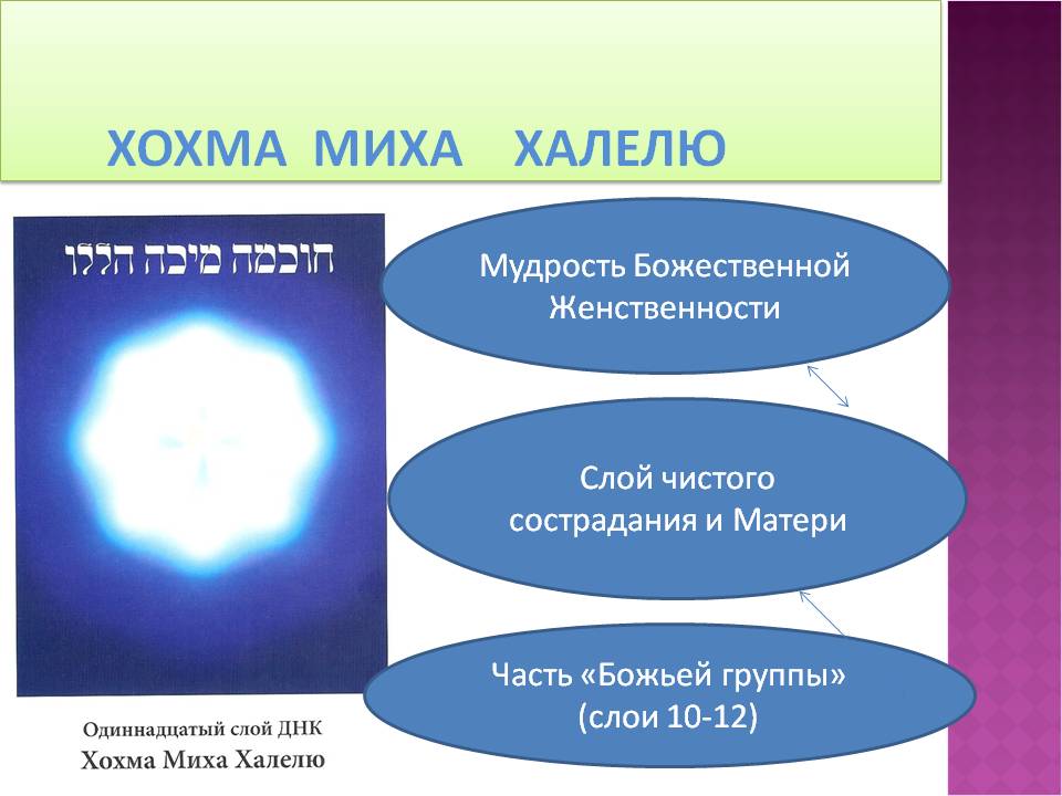 11 слой ДНК