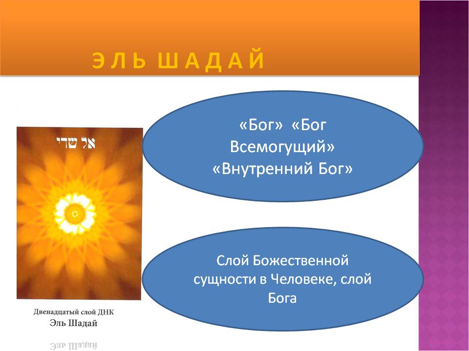 12 слой ДНК