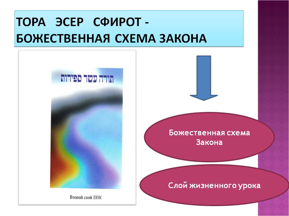 2слой днк