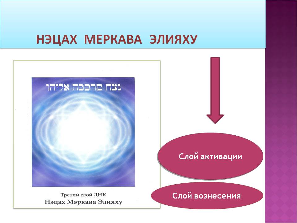 3слой днк
