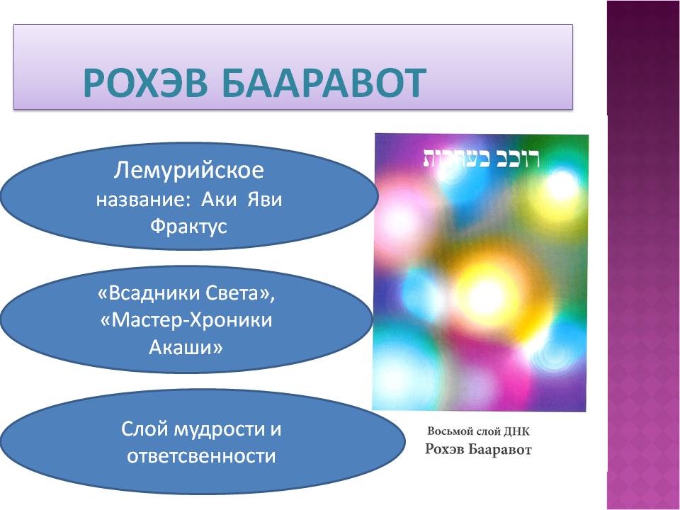 8 слой ДНК