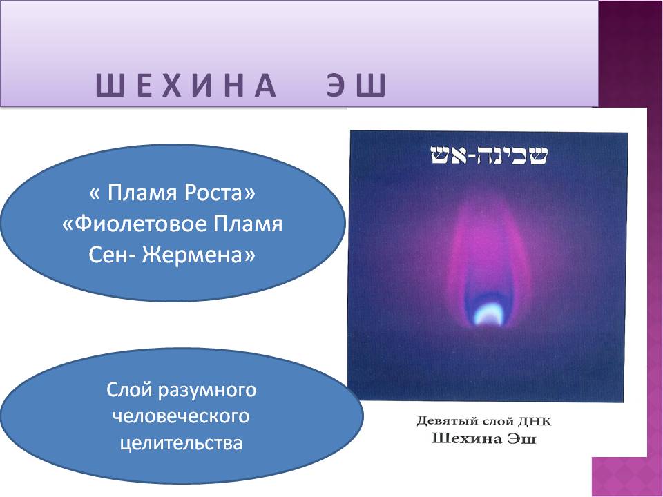 9слой ДНК