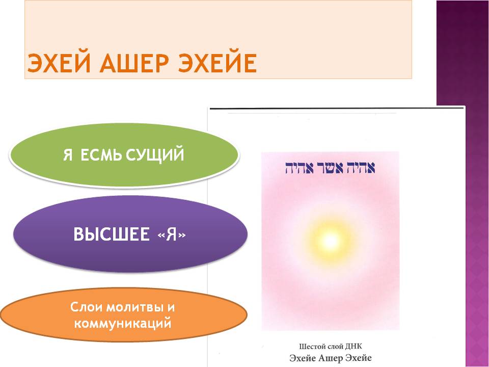 презентация программа человека ДНК.6слой